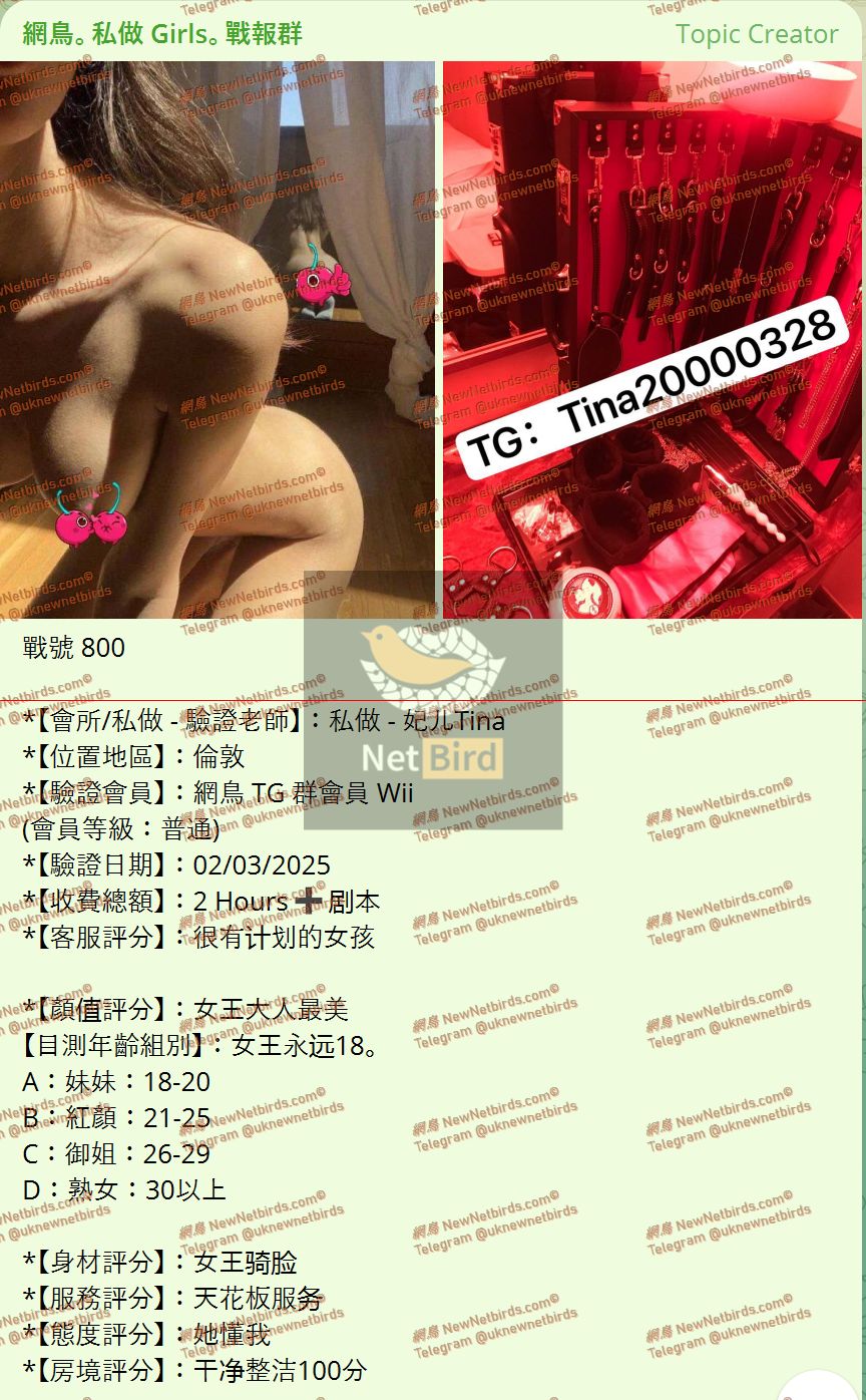 戰號 800 1.jpeg